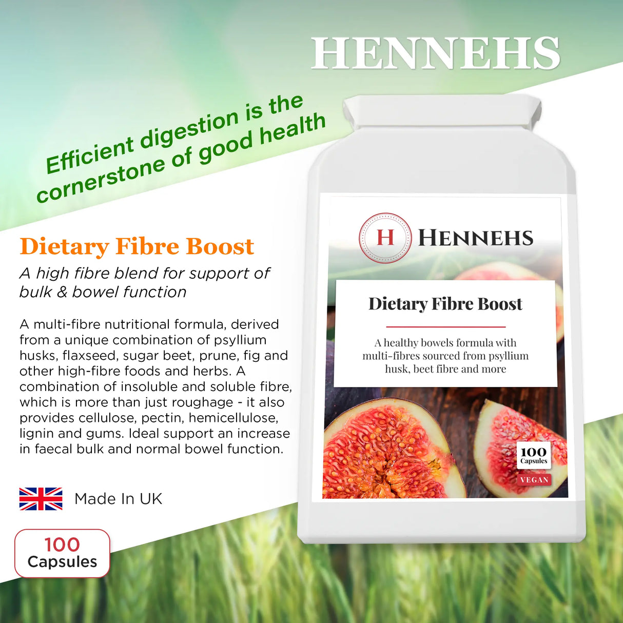 Dietary Fibre Complex v6 (DF120) - HENNEHS Dietary Fibre Complex v6 (DF120)
