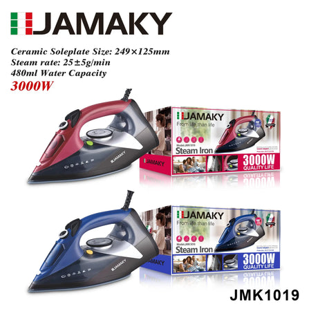 2000W Handheld Dual Use Steam and Dry Electric Iron HENNEHS